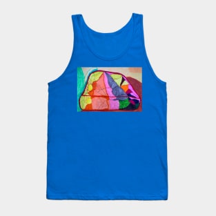 Unique Rock Shapes with Beautiful Colour With a Line in the Centre Tank Top